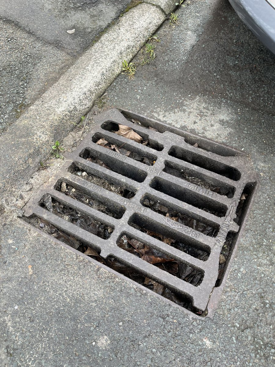 Another busy morning in and around Park Ward.

Sadly we found more blocked gutters, this time on Hartley Street & Miall Street

The state of gutters in Park Ward is horrendous. It’s become a massive problem

@Calderdale this needs looking at urgently

#LetsGetSociallyActive