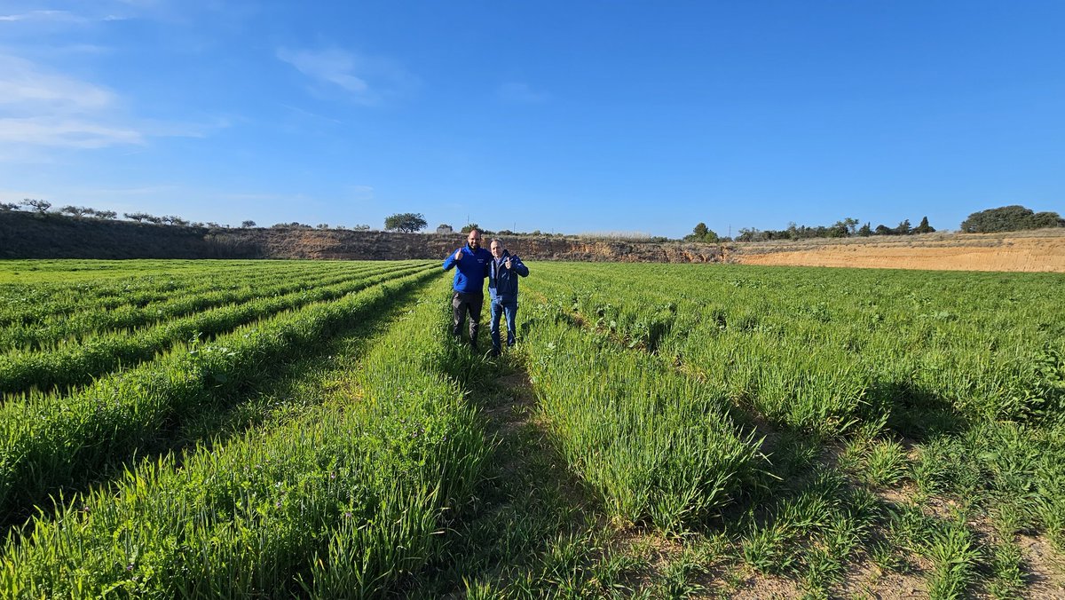 Preparando la próxima visita del Máster de agricultura ecológica de @unibarcelona <a href="/Master_AE_UB/">Máster Agricultura Ecológica UB</a>
Y visionando nuevos ensayos con @fxaviersans y <a href="/IRBioUB/">IRBioUB</a>