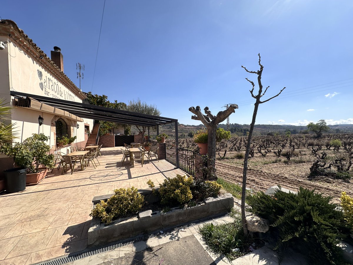 Philip Nolan tweet media