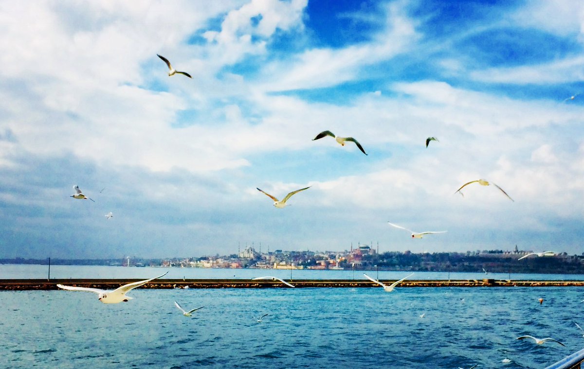 Yaşamı cesur yaşamak gerek. Yaşamı doyarak yaşamak gerek. Yaşamı insafsızca yaşamak gerek. Yaşam sert. Yaşamı sert yaşamak gerek. ♥️ Tezer Özlü