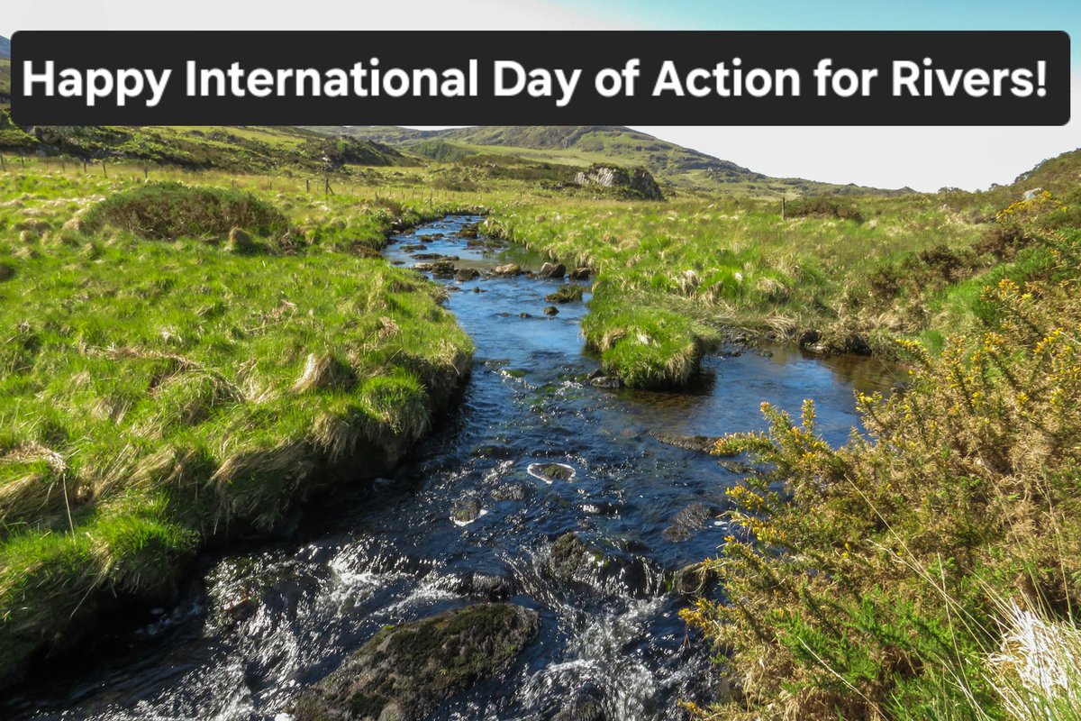 Happy International Day of Action for Rivers! Rivers are essential for life on earth. They supply the planet and its inhabitants with freshwater. Rivers are the most biodiverse ecosystems. #internationaldayofactionforrivers #biodiversity #actionforrivers #conservation #wildlife