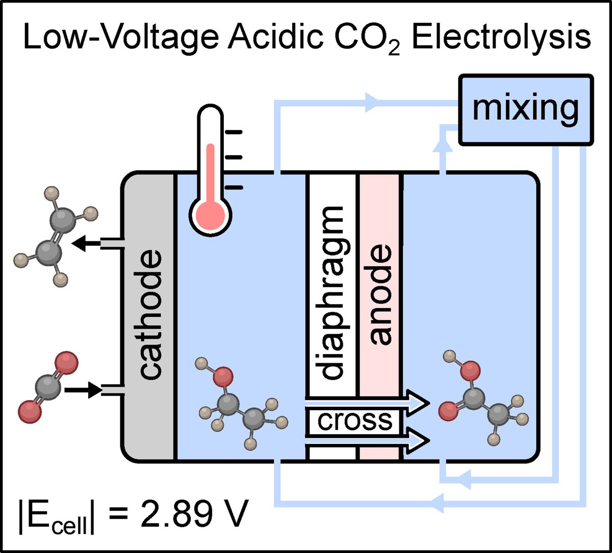 🚨Check out our recent article in @ChemElectroChem We used a diaphragm with optimised components and conditions to lower the voltage for acidic CO2 #electrolysis! Link: …mistry-europe.onlinelibrary.wiley.com/doi/full/10.10…