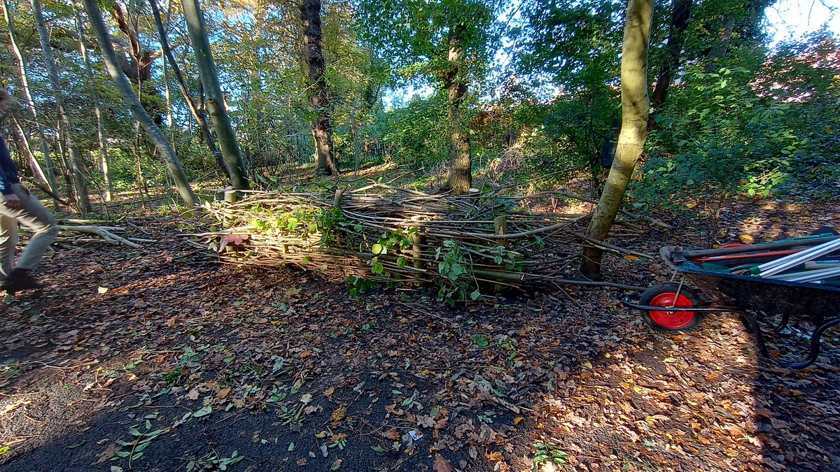 Join our @naturesgymlew and <a href="/ForsterMPark/">ForsterMPark</a> volunteers on Saturday 23rd March, 11am-2pm, for an afternoon of traditional woodland management techniques plus the creation of dead hedges and more for wildlife. <a href="/LewishamCouncil/">Lewisham Council</a>