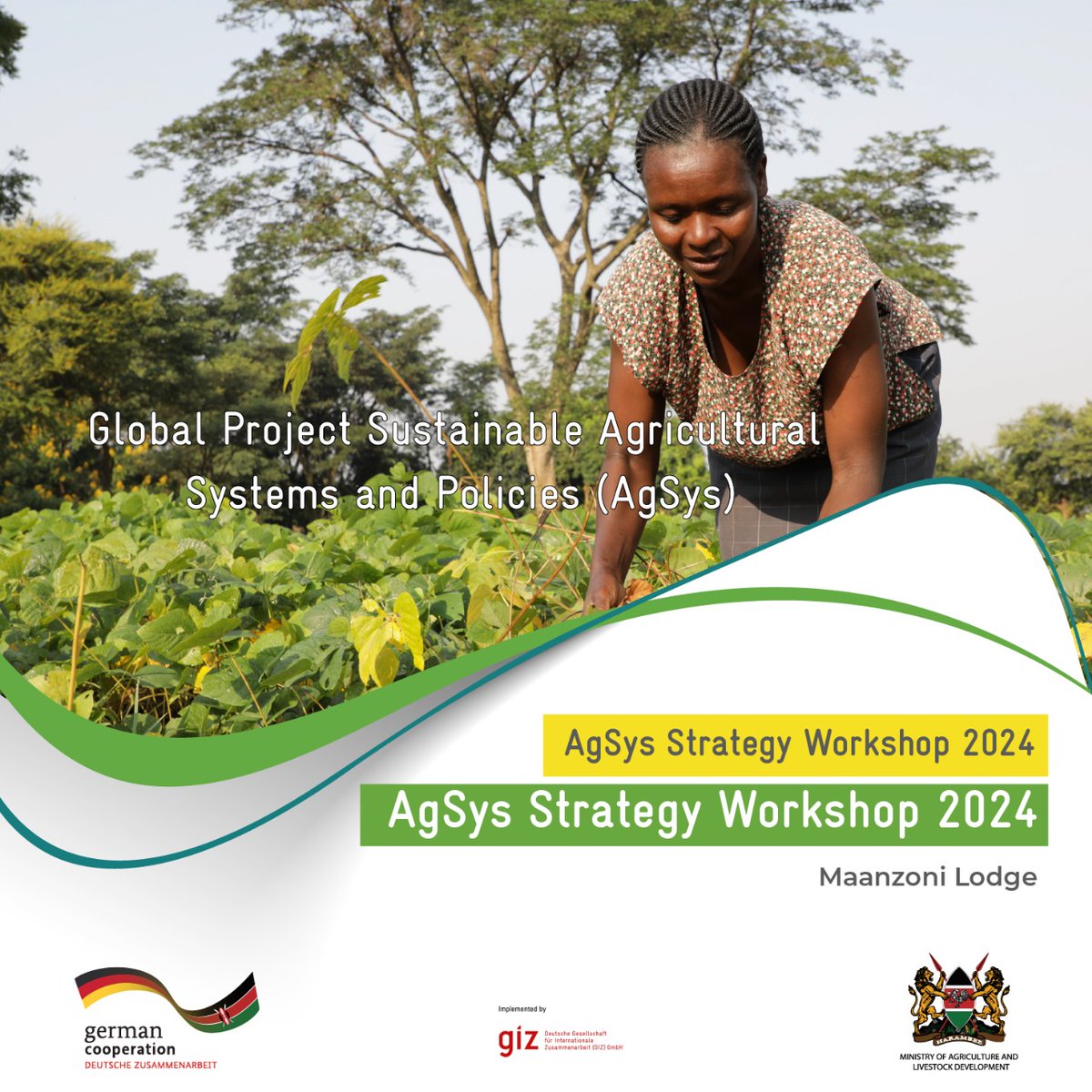 Sparking Innovation in Food Systems Day 2 of the GIZ AgSys Workshop focuses on policy advocacy, sustainability, and the power of women and youth as change agents. With partners like @MoALD @giz_gmbh @ASNET, we're building a better tomorrow. #AgSysKenya #SustainableAgiculture