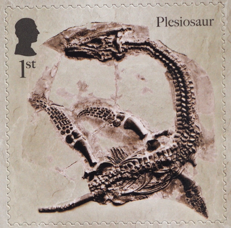 A #plesiosaur which #MaryAnning discovered in 1830 and described as the most beautiful fossil she had ever seen is on one of the new #Stamps. Bought by Lord Cole, one of her richest clients, it can be seen in @NHM_London which purchased Cole's collection in the early 1880s.