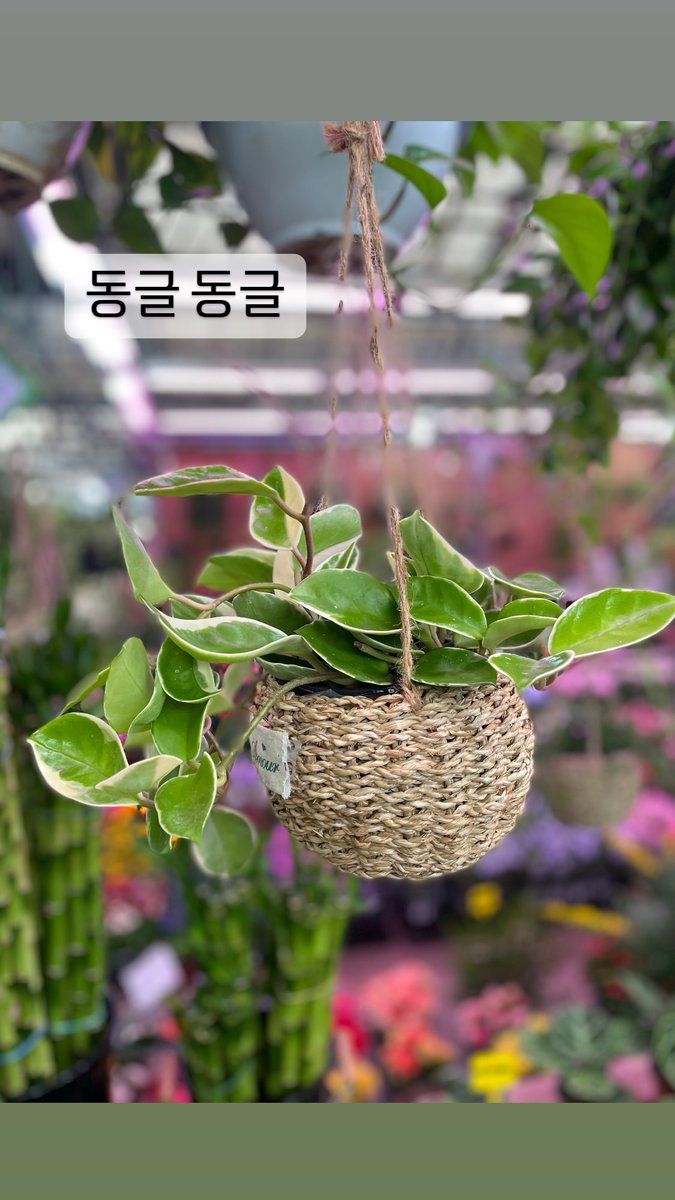 M00NCHAEWON's tweet photo. 240314 moonchaewon_official instagram story update
#MOONCHAEWON #문채원 https://t.co/qw6IYseo1x