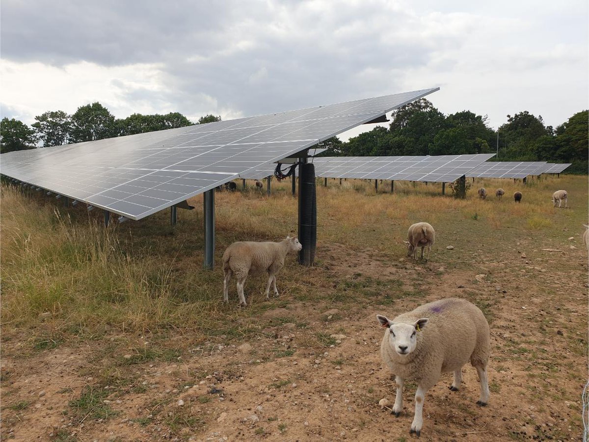 NIHRresearch's tweet photo. (1/4) Our new Climate Health and Sustainability Commitments set out our next steps towards developing sustainable and resilient health, social care and research systems. 🔽 https://t.co/UQH8FXDc8L