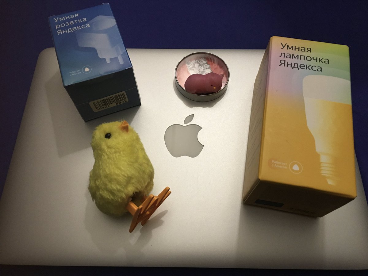 svetadragonfly's tweet photo. I'm making a smart home! 🙃I study sockets, light bulbs, smart speakers and other things from Yandex! It's very curious 🥰 @yandexmusic @yandex
#smart #smartphone #smartwatch #smarthome #smartpoints #smartfit #smartphones
#smartboy #smarthafiz #smartcity #smartdog #smartcasual https://t.co/9cCm3ScxvT