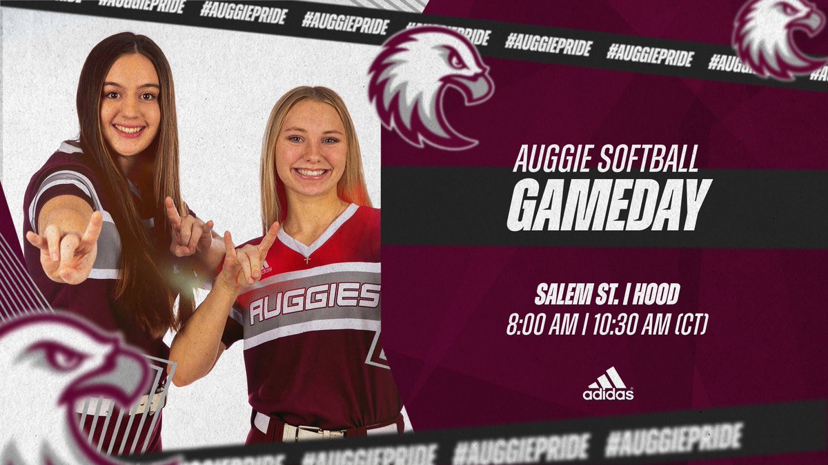 AugsburgSB's tweet photo. Last one, best one! Ending our trip with our last two games before we head home. Follow along! #AuggiePride 

🔗: https://t.co/XztDcexs7T https://t.co/cFaX0oR6cL