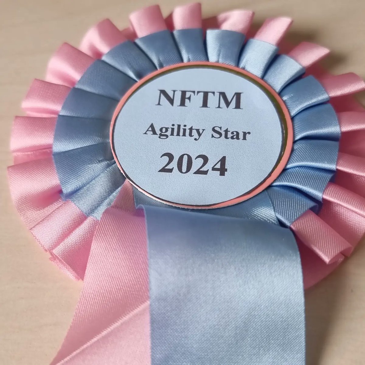 National Fox Terrier Meet tweet media