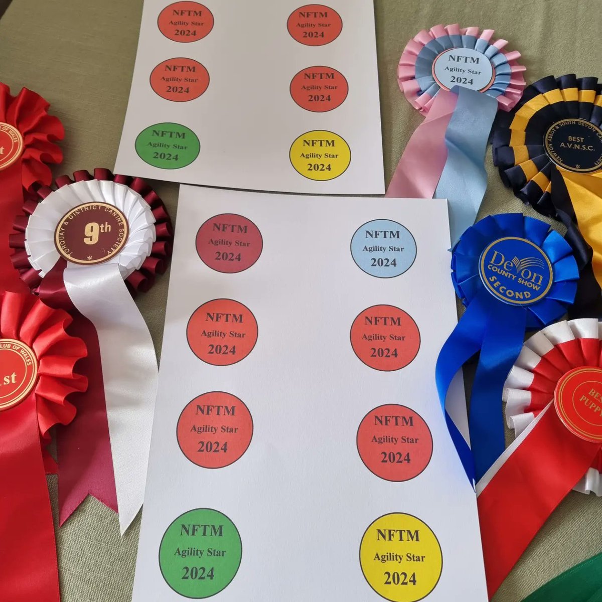 National Fox Terrier Meet tweet media