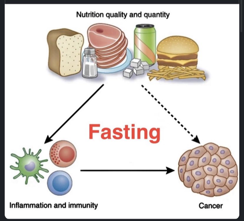 Can a Low-Phosphate Diet for Chronic Kidney Disease Treat Cancer?
Read:linkedin.com/feed/update/ur…