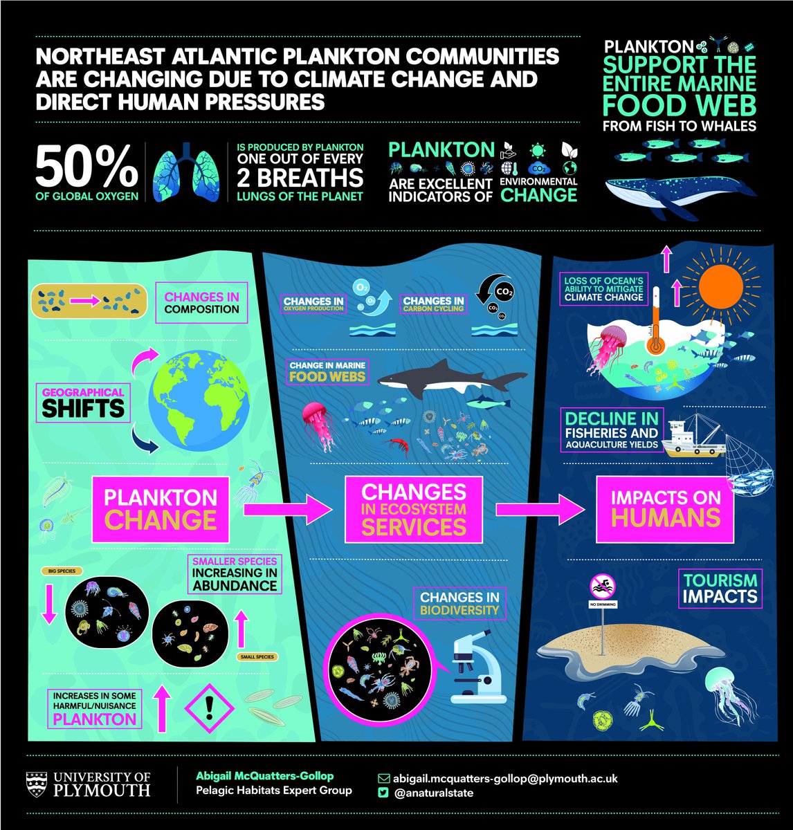 Dr Abigail McQuatters-Gollop アビゲイル tweet media