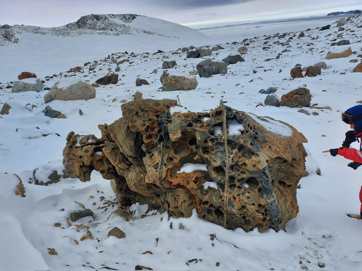 I found beautiful #tafoni on a day trip to Hering Island #Antarctica for #Mumyo #sampling  #Polarstern #PS141 #RockEnthusiastic