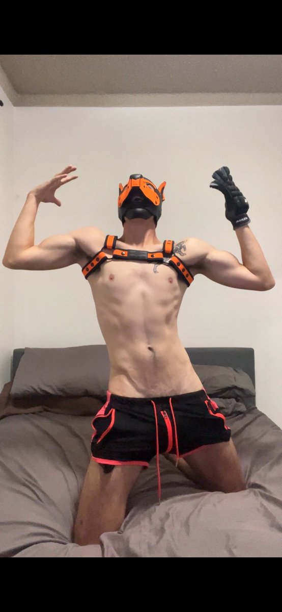 Awroooo! 
Wouldn’t mind a howling partner 🐺😏 
Cuddles included 😋🐕

#puppyplay #pupplay #gaypuppy #omega #gaypup #humanpup