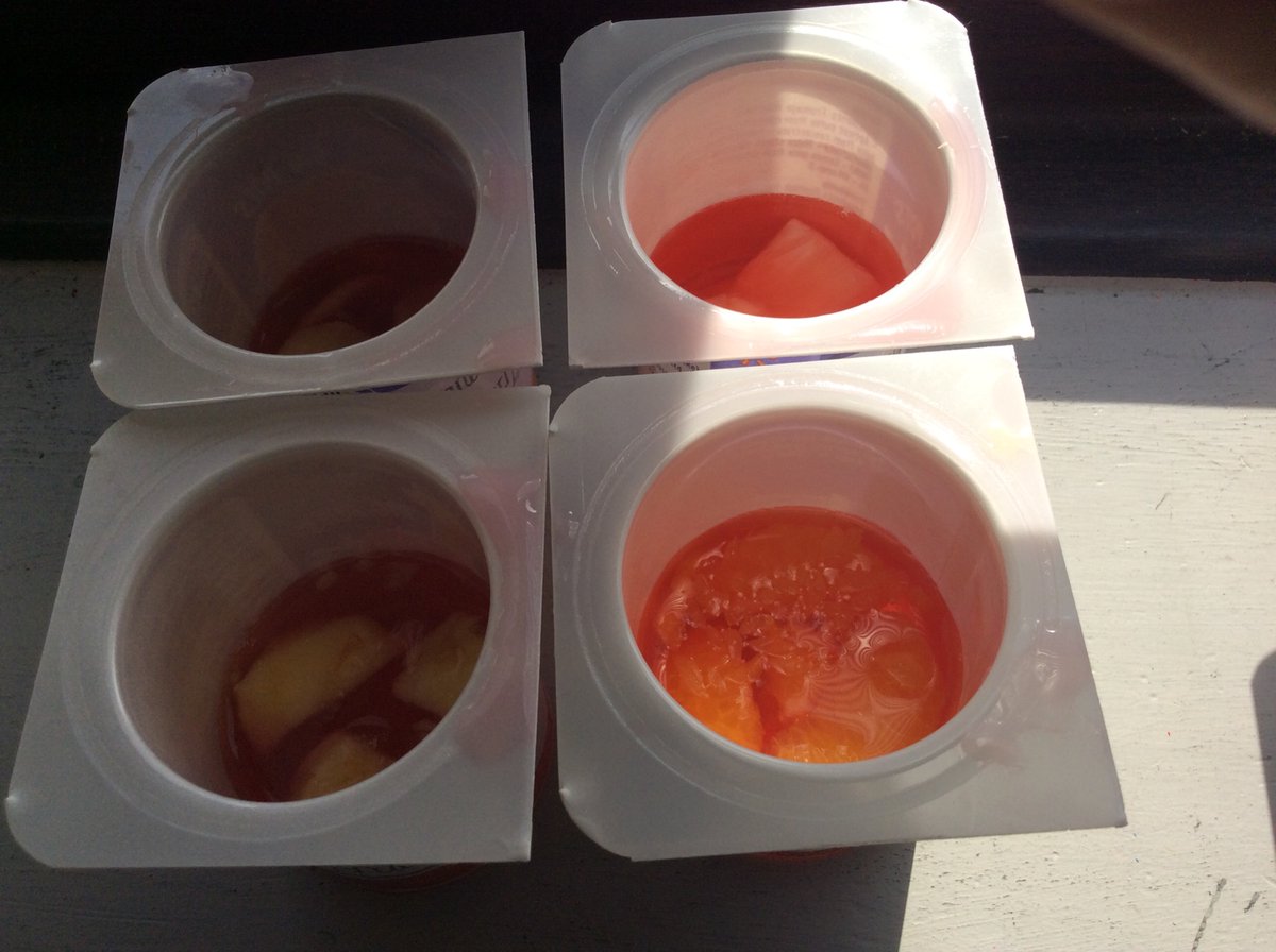 MrsDaniel_RSW's tweet photo. Birch Class devised a fair test to explore the effect of different fruits on jelly setting time. https://t.co/uZFj4nYaLm