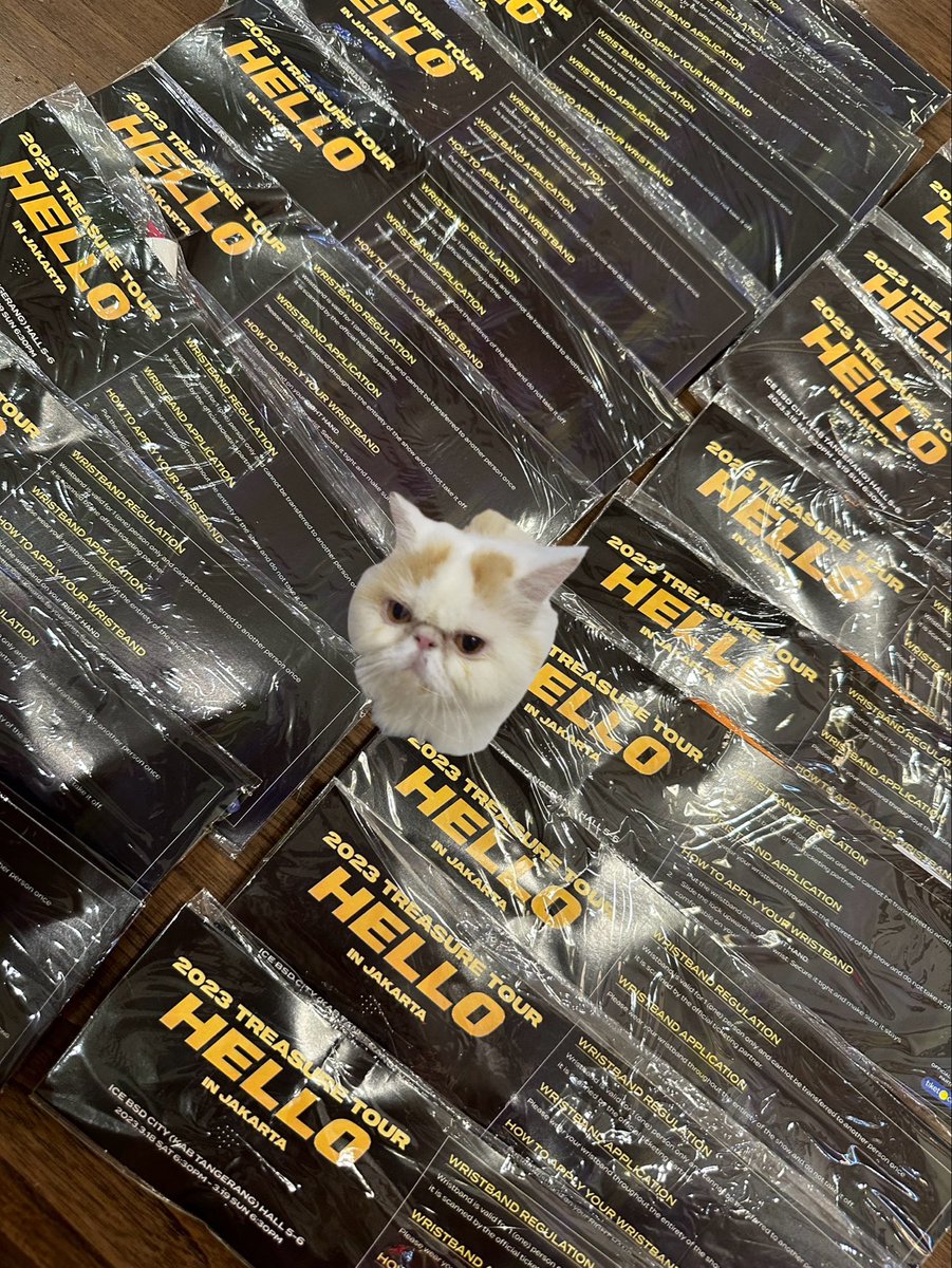 mashiinoona's tweet photo. Yang mau jastip tiket Treasure boleh ke IG @/jastipdok yaaaaah ❤️

Mau jastip war pake membership kalian juga boleh 🙏🏻

 #TREASURE #RELAY #TOUR #REBOOT #YG #TREASURE_REBOOT_IN_JAKARTA https://t.co/g8DJ2iQWZ5