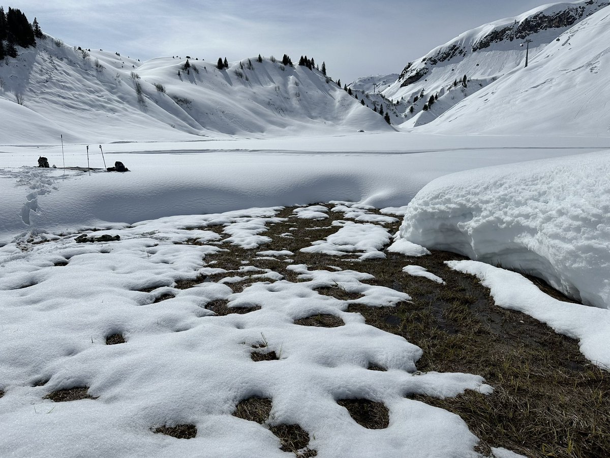 Tuebingen Geomicrobiology tweet media
