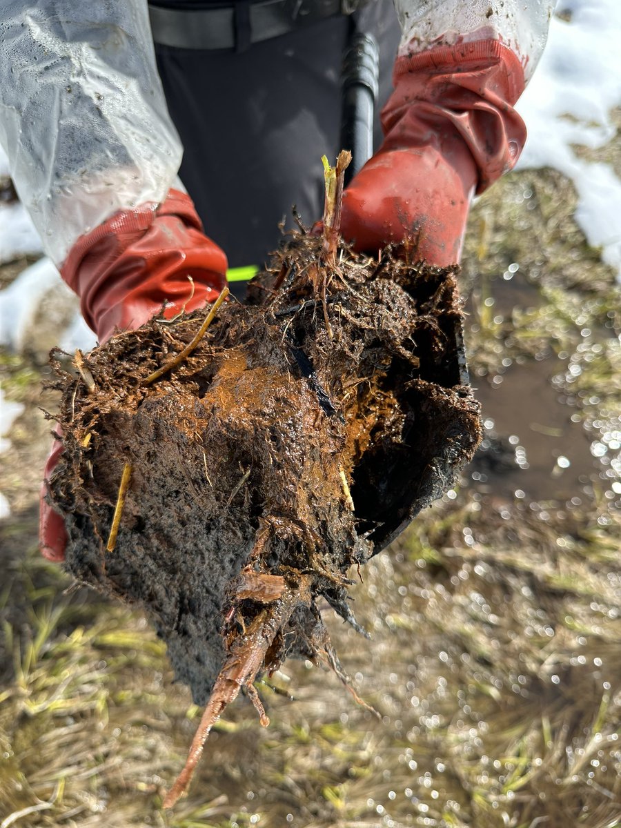 Tuebingen Geomicrobiology tweet media