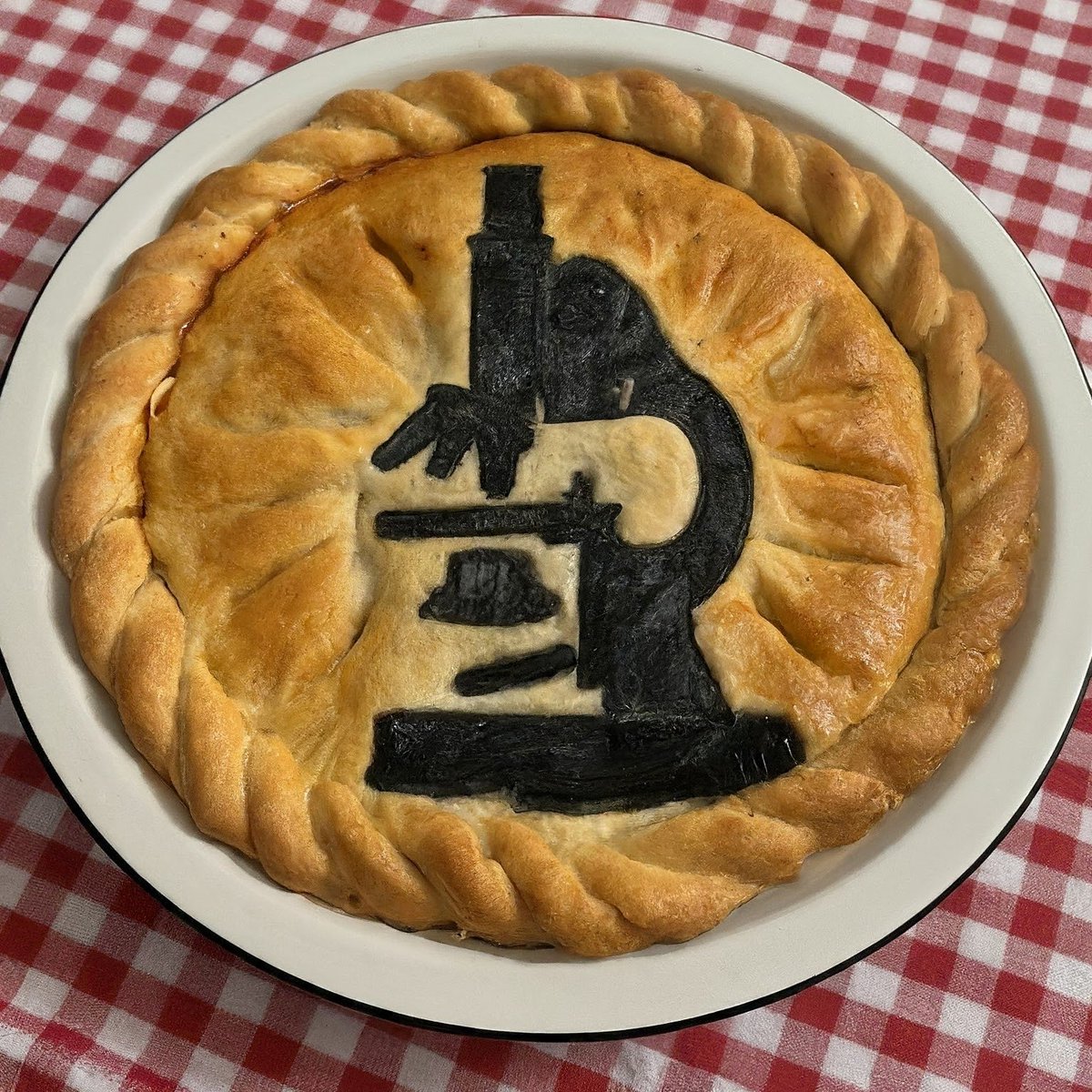 How to Celebrate #Pi #Day when you are a #microscopist: 1. Eat some delicious pie. 2. Submit your best images to Microscopy Today's Micrograph Competition! The submission deadline is tomorrow, so head over to microscopy.org/microscopy-tod… and submit yours today!