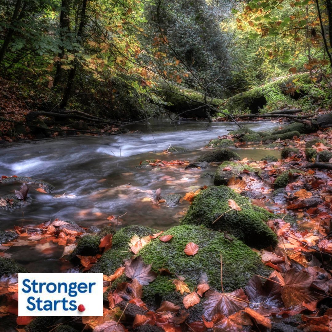 Thanks to @Tesco Stronger Starts for their donation of £1,000 through the blue token scheme. This money will go towards our Frome Banks Regeneration Project, to protect this tranquil riverside area for people and for nature. Thanks Tesco staff and shoppers! #TescoStrongerStarts