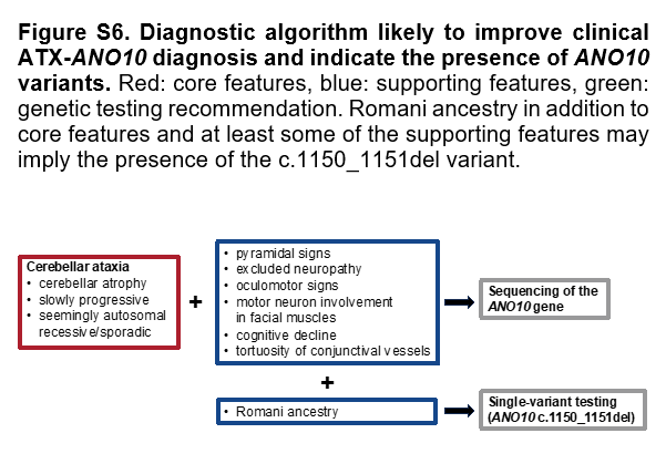 MDSGene Systematic review on ATX-ANO10 @MDJ_Journal ▶️ Conjunctival vessel tortuosity and early facial muscle denervation are some interesting clues #NeuroTwitter doi.org/10.1002/mds.29…