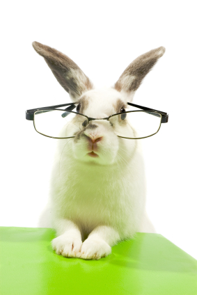 GoffAccountants's tweet photo. Happy Easter everyone!!

We will be back open as normal after the Easter break, 9am on Tuesday 2nd April. https://t.co/FFpfA3L3OB