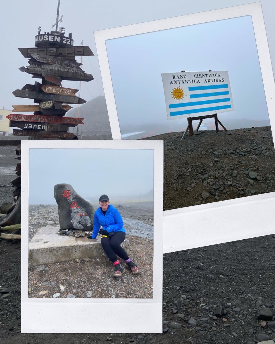 Robin K. Triplett tweet media