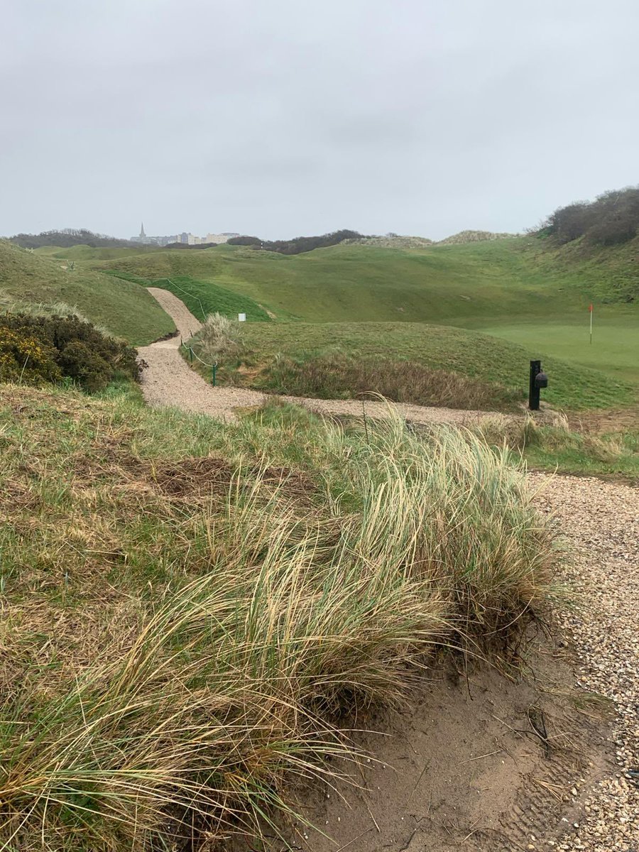 TenbyGolfClub's tweet photo. This week our greenkeeping team have been busy revamping the bunker on the 15th hole with fresh turfing along the sides, and then reshaped with new sand. 🌱
They've also completed the path on the 4th with some lovely cockle shell surfacing. 🐚🌊🦈
#greenkeeping #courseupdates https://t.co/HJzrKG8OPP