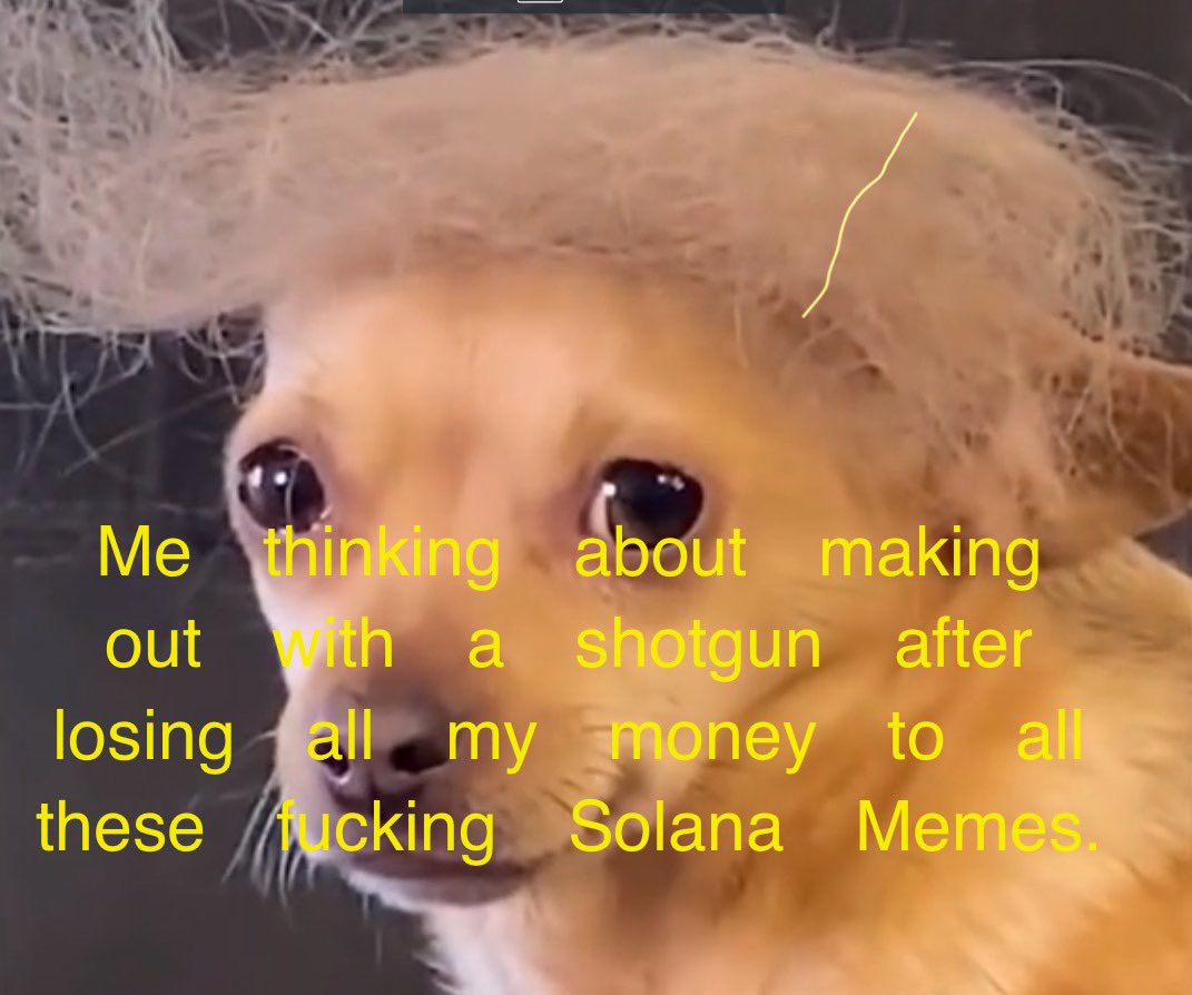 NestyVega's tweet photo. 2 weeks on red and about to lose my shit!!! 

$DOGALD #SolanaMemeCoins #FUCK! https://t.co/XWMBuDU1US