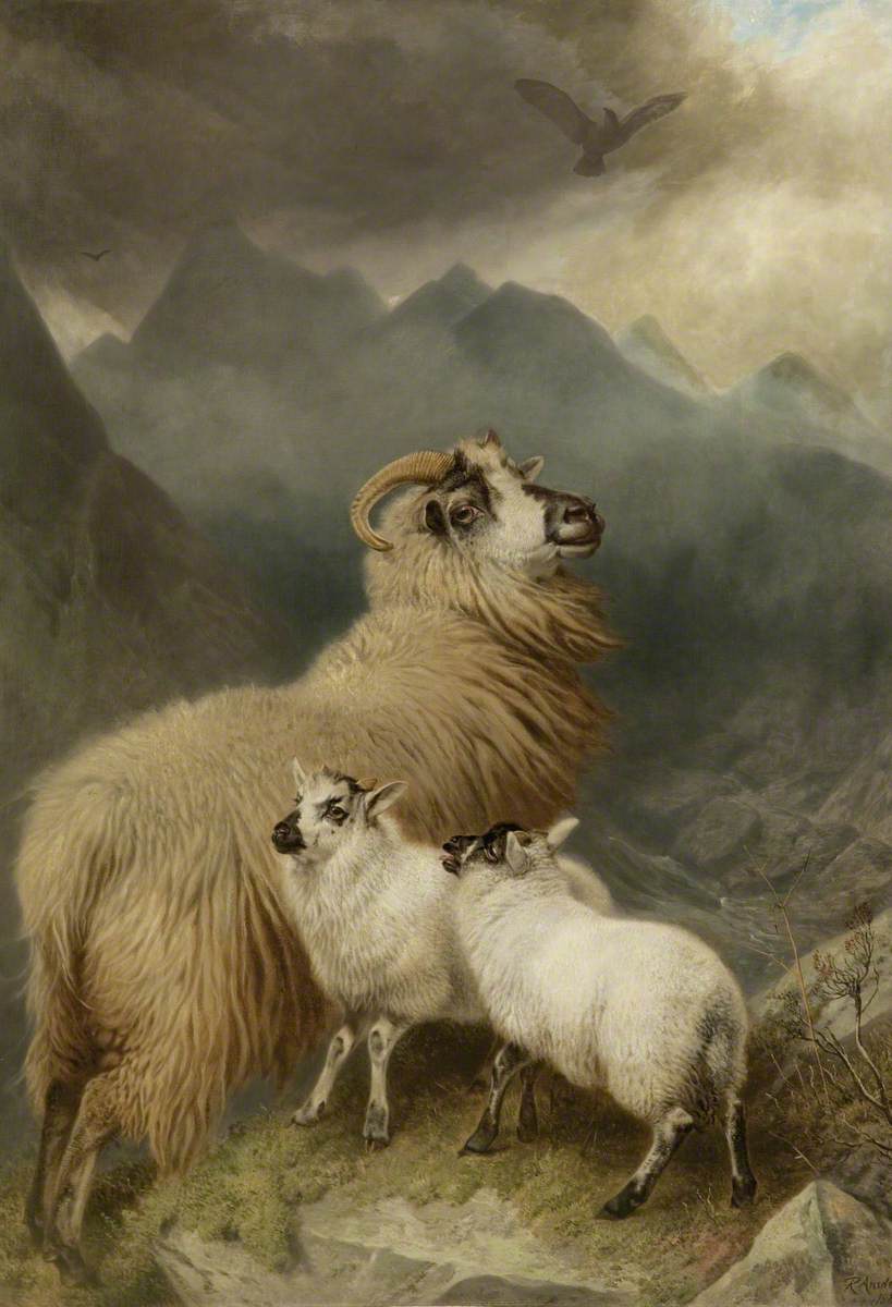 Few things signify the coming of Spring as strongly as the arrival of newborn lambs. In this piece by Richard Ansdell, a pair of lambs are watched over by an older sheep as they traverse the dramatic mountainous terrain of Skye 🐑 #OnlineArtExchange @artukdotorg @BlackburnMuseum