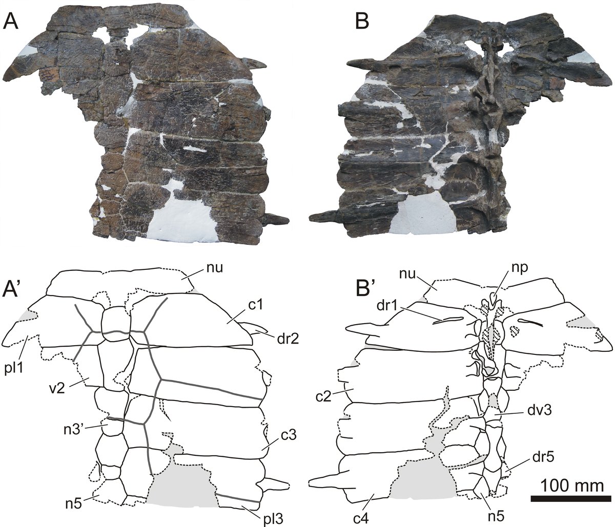 Adán Pérez García tweet media