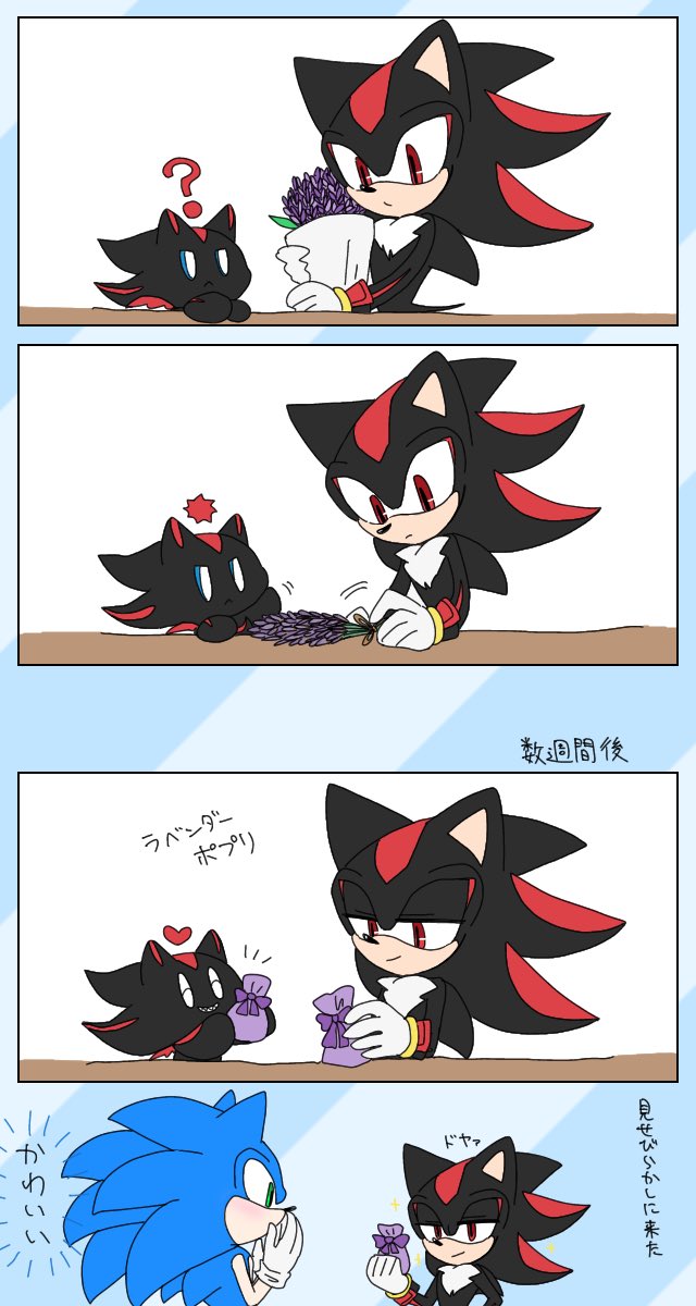 sgajdmwjp's tweet photo. ほわいとでー
#sonadow
#mephilver https://t.co/nOHrDZmFxN