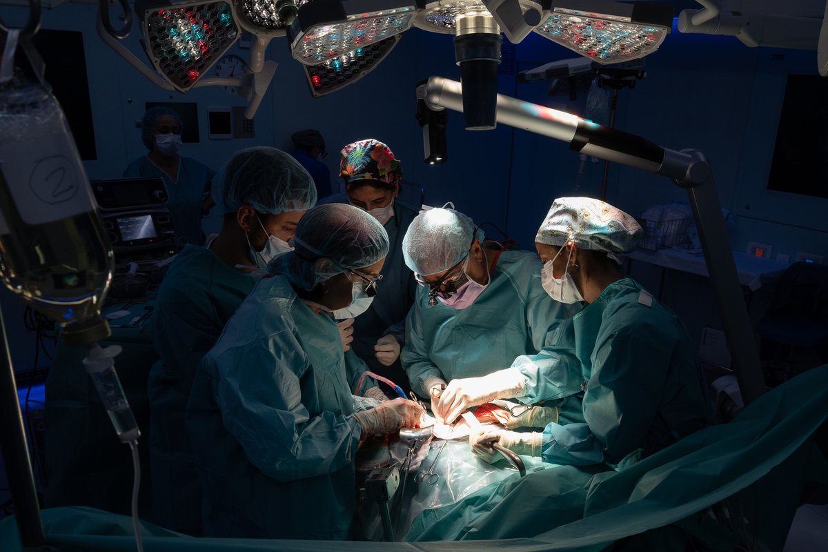 💪 El #CLÍNIC ha superat els 2⃣.5⃣0⃣0⃣ #trasplantaments de fetge per primera vegada a Catalunya El 2023 es van fer 8⃣0⃣ trasplantaments hepàtics, 7⃣ dels quals hepatorenals 💗 Gràcies a tots els que ho heu fet possible! ➕ Info 👉 tinyurl.com/3axnv9xw