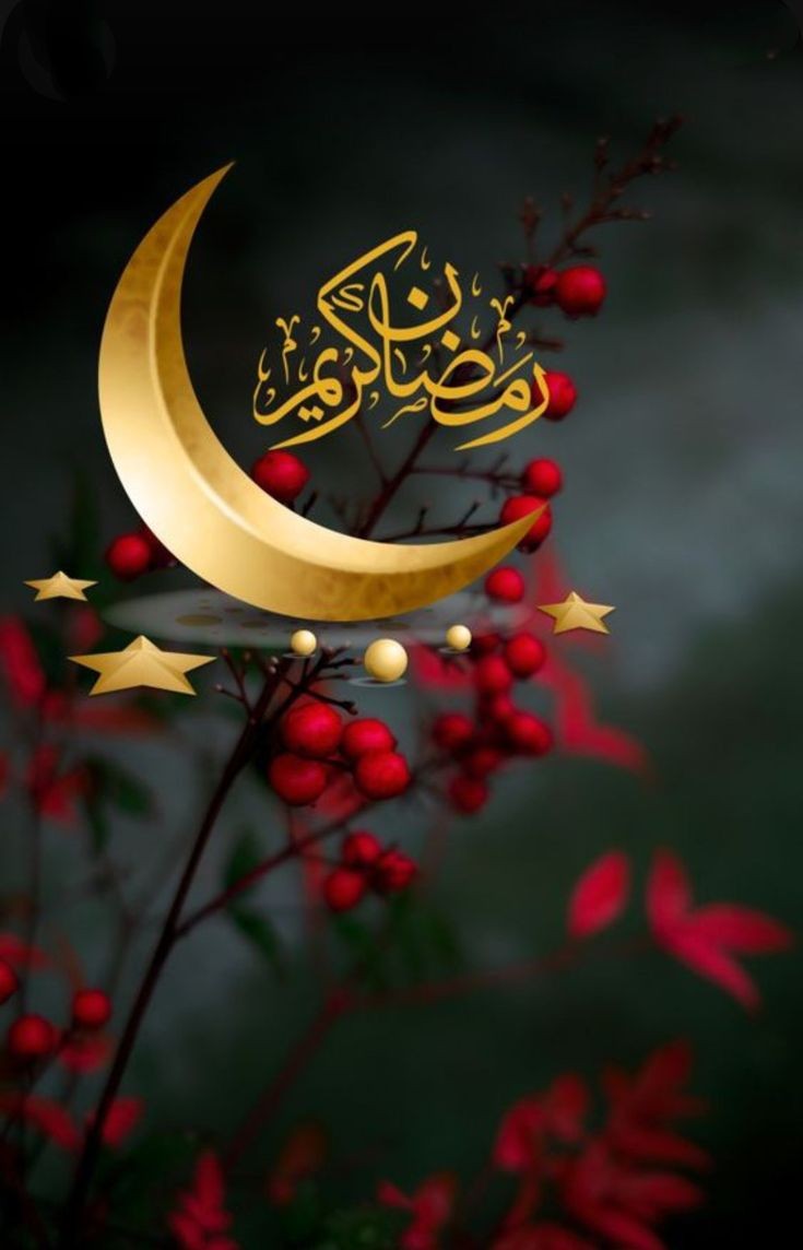 ihstraders's tweet photo. I hope this Ramadan brings you peace, joy, and blessings beyond measure. https://t.co/Wo7ySJ6RL2
