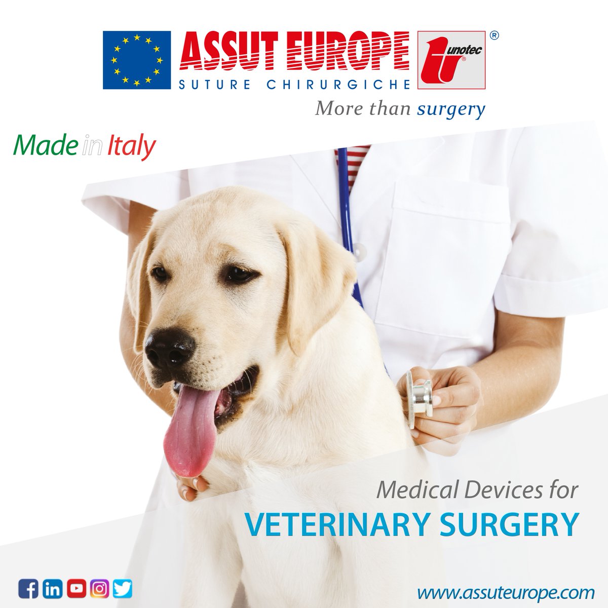 AssutEuropeSpA's tweet photo. Assut Europe has a wide range of surgical sutures and other medical devices for Veterinary.
Visit our new dedicated web section for more information!
https://t.co/FwlMLv05co https://t.co/2JTEMO3ycT