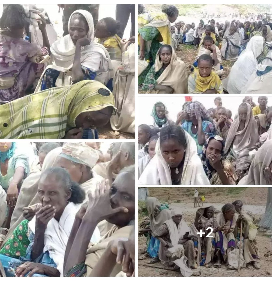 Zemen81698839's tweet photo. Siege,starvation,denial of access to healthcare utilized as weapons of war ,#AbiyAhmedAli carefully plan targeted civilians on #Tigray.
Still #Tigray under siege.
#TigrayFamine 
#TigraylsStarving 
#Justice4Tigray 
#TigrayIDPs @POTUS @SecBlinken @amnesty @UNHumanRights https://t.co/kcTUbjthlB