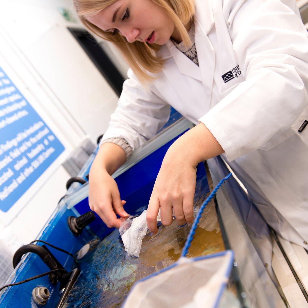 If you are interested in a research career, we are hiring for an 80-hour Ocean Pollution Research Intern. You will gain practical, paid industry experience. 

Apply here: ow.ly/VcgH50QSbK1
Applications close 19th March

#DerbyTalentProgramme #Internships
@derbyunistudent