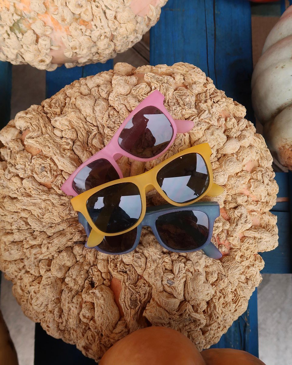 RealShadesUK's tweet photo. Our shades come in a wide range of styles and colours -so you can find the perfect pair for your little one! 😎

https://t.co/1ngzSQS6Gz

#realshadesuk #realshades #sunglasses #unbreakableframes #kidsunglasses #toddlersunglasses #babysunglasses https://t.co/dHRet8IiJB