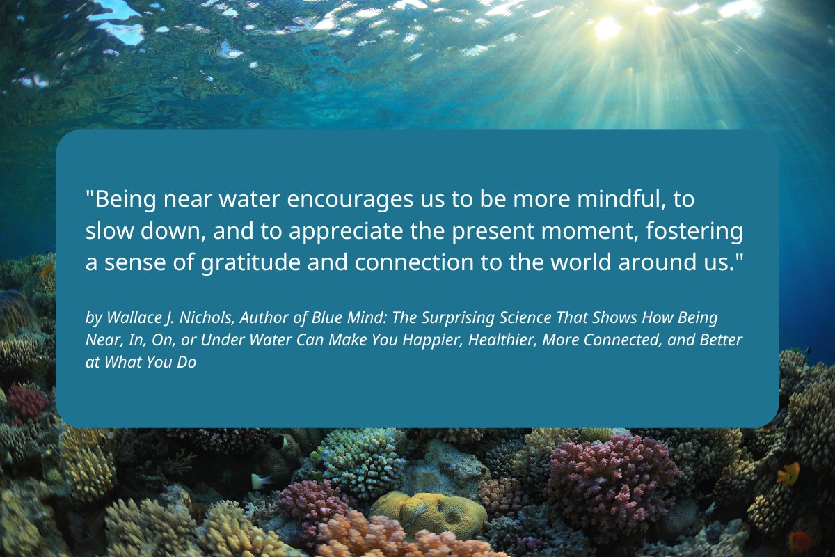 Drop a 💧 in the comments if you can relate to this quote! #LiveUnfiltered #bluemind

Quote by: <a href="/wallacejnichols/">Dr. Wallace J. Nichols</a>