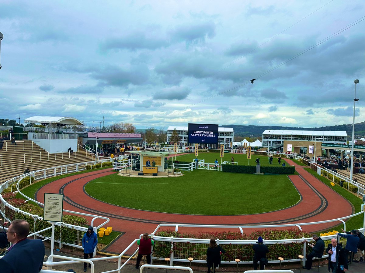 Today is going to be a good day! #Cheltenham2024 🇬🇧