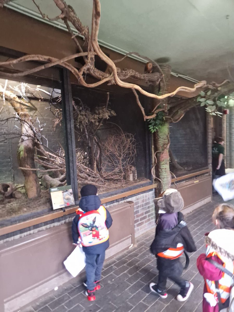 @HawksmoorPrimary tweet media