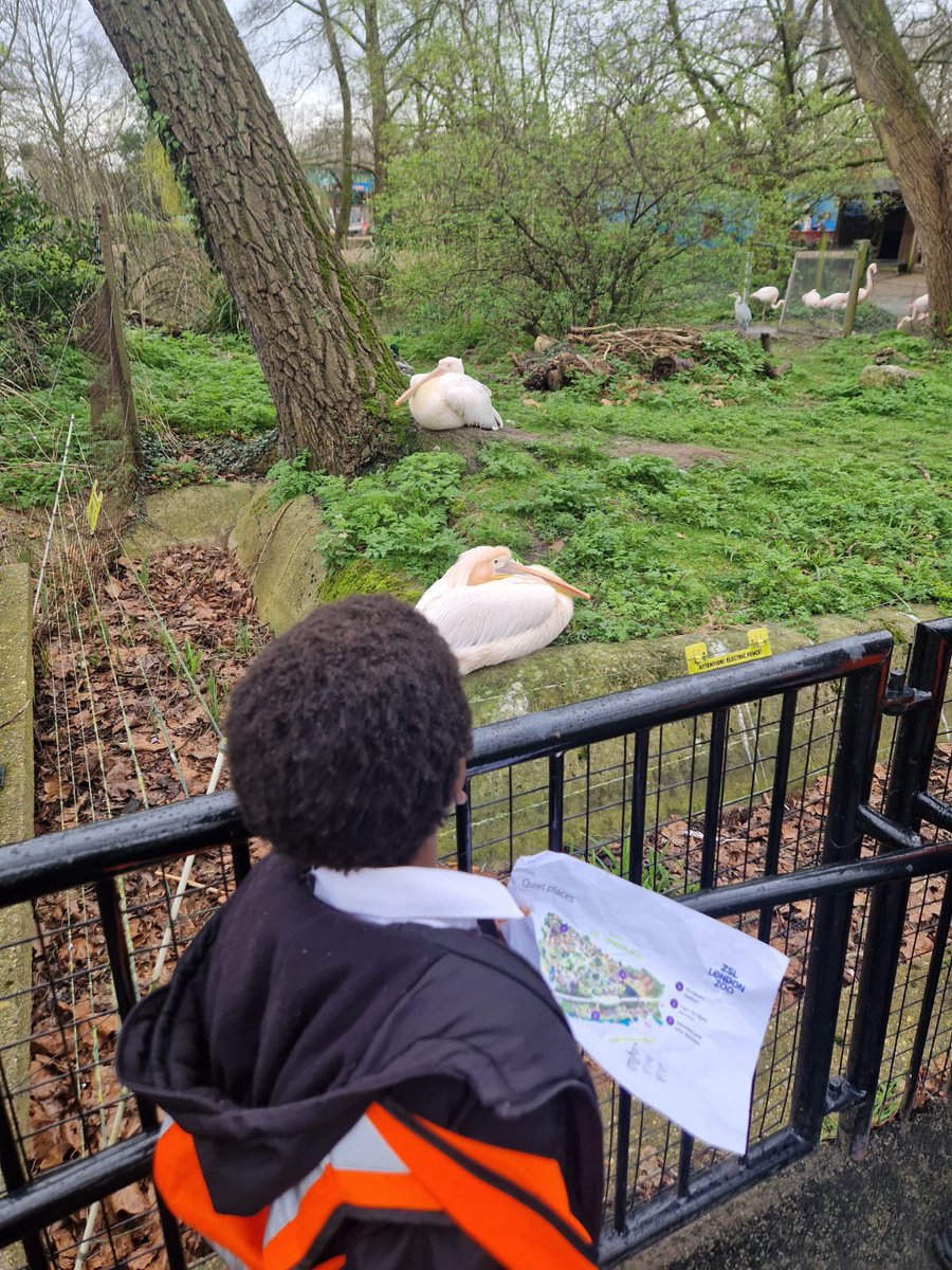 @HawksmoorPrimary tweet media