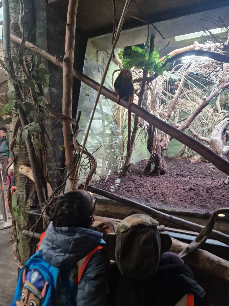 @HawksmoorPrimary tweet media