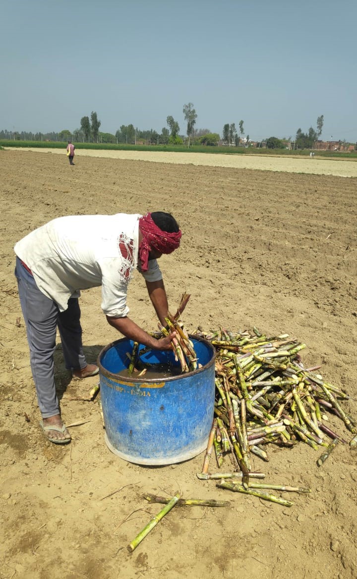DeHaatTM's tweet photo. At DeHaat, our dedication to farmers goes above & beyond – here it's about standing by them every step of the way.
Here's a glimpse of our team in action, forging strong partnerships with #farmers and empowering them for a prosperous future.
#Agritech #SeedToMarket #Bihar #UP https://t.co/ZesnRJuCqE