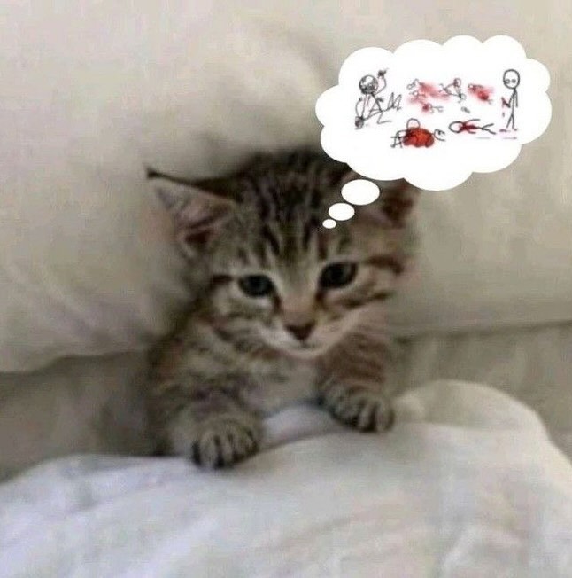 PunchingCat's tweet photo. https://t.co/6bloeLRGZs