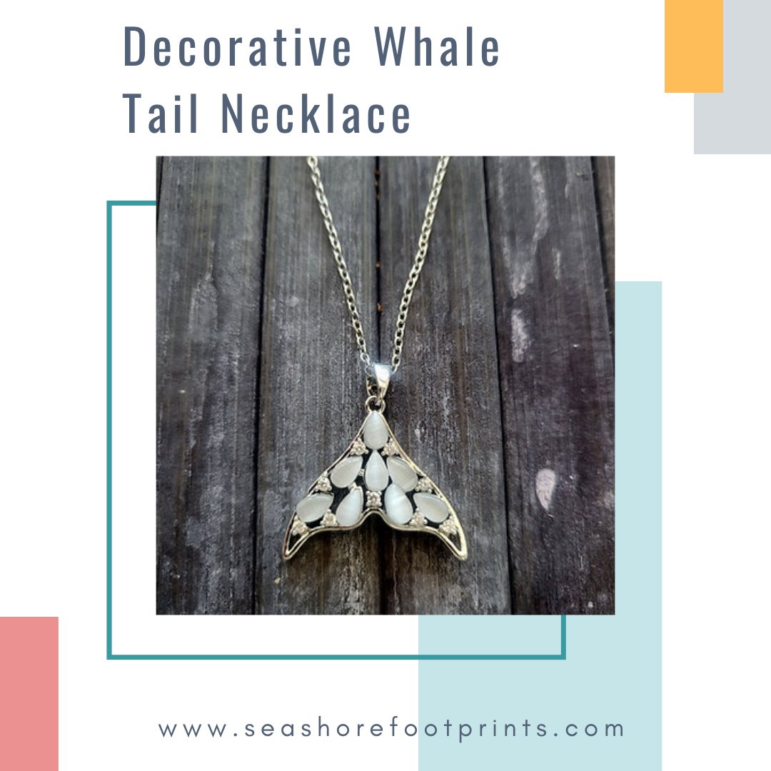 Introducing our stunning Whale Tail necklace, the perfect accessory for any ocean lover.

seashorefootprints.com/product-page/w…

#jewellery #jewellerydesign #jewellerydesigner #necklace #necklacelovers #necklacedesign #necklaceoftheday #necklaceaddict #necklacesofinstagram #necklacelove #whale