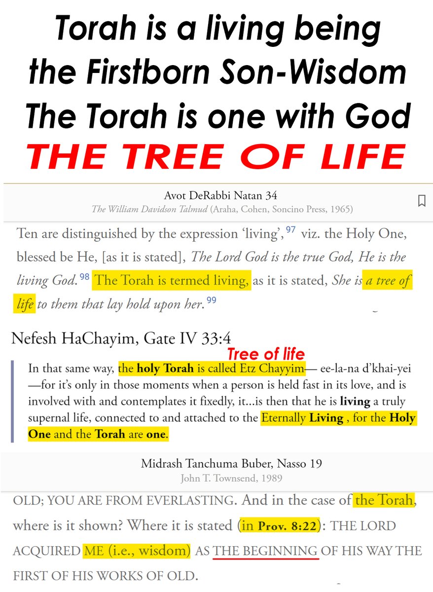 The Rabbis don't want you to know the TORAH/WORD IS ALIVE #messiah #hashem #messianic #christian #chabad #jewishculture #tehillim #elohim #shabatshalom #talmud #lojsociety #rasta #yah #torahobservant #betaisrael #synagogue #kabbalah #ToviaSinger #hebrewroots