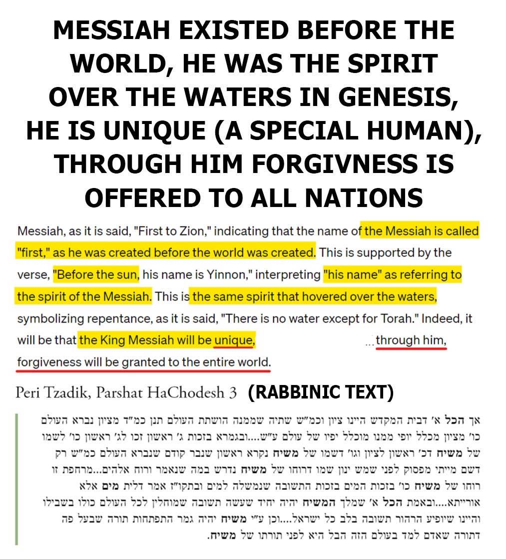 The Rabbis don't translate these Texts -BECAUSE THEY ARE HIDING THE TRUTH #messiah #hashem #messianic #christian #chabad #jewishculture #tehillim #elohim #shabatshalom #talmud #lojsociety #rasta #yah #torahobservant #betaisrael #synagogue #kabbalah #ToviaSinger #hebrewroots