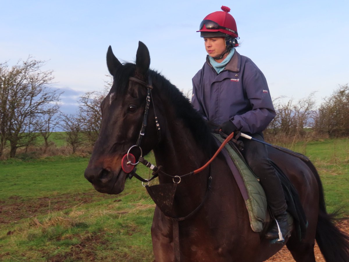 Summerdown1997's tweet photo. There’s no more appropriate time than today to say farewell to our great friend and Cheltenham Festival hero THIRD WIND!
He’ll be missed by all of us in the yard and we all wish him a very happy and well deserved retirement!
Well done boy! 🙌🏼⭐️
#SummerdownStables
#ThirdWind https://t.co/1pHETxrpax